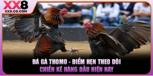 Đá Gà Thomo - Điểm Hẹn Theo Dõi Chiến Kê Hàng Đầu Hiện Nay